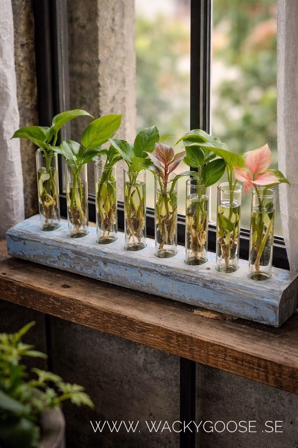 Sticklingvas / Sticklingblock, 8 vaser, Ljusblå/Lila