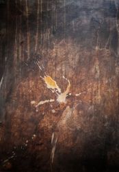 Burning Sky - Hippie Road, 80x60cm