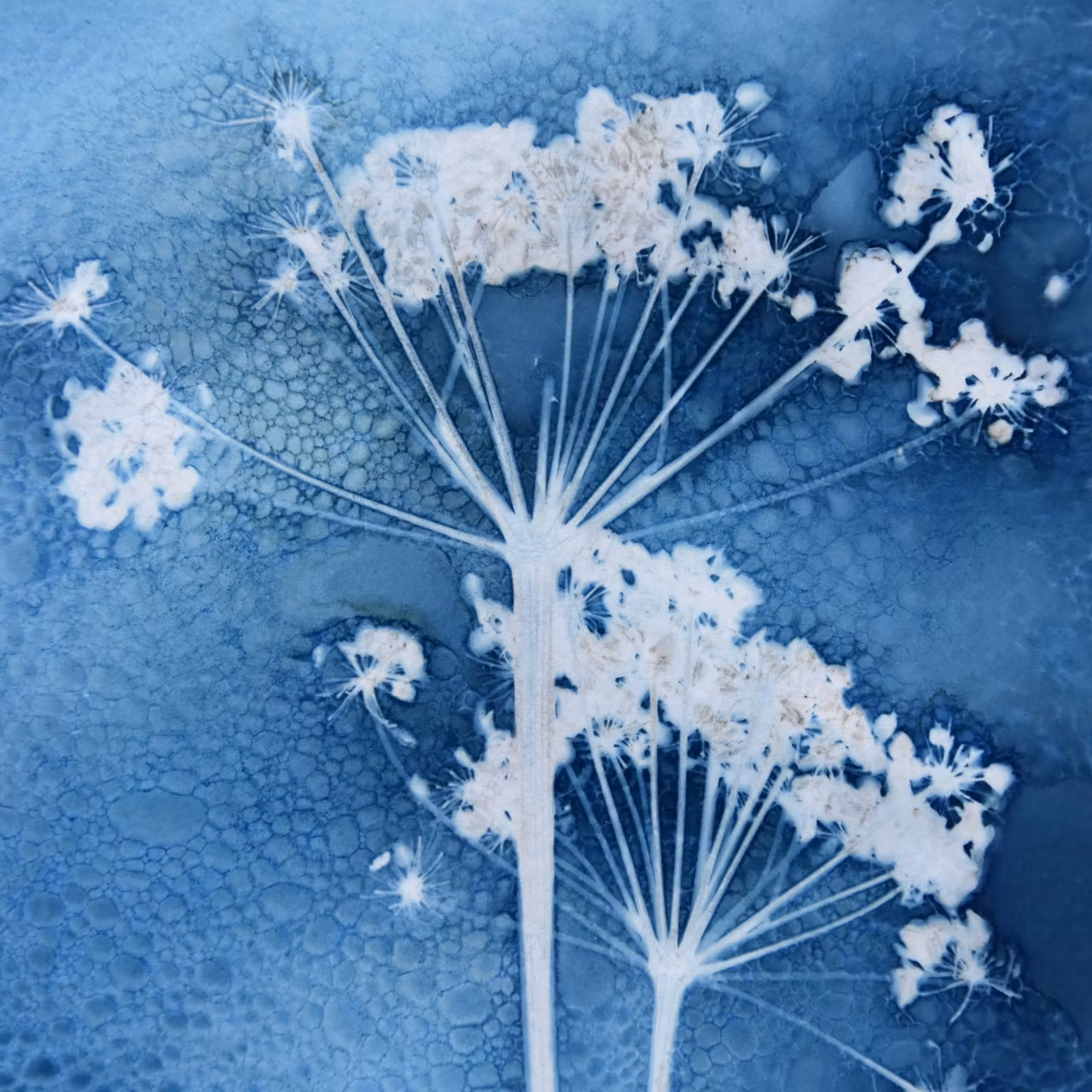 Camilla Fredriksson, Originalprint nr.13, 25x25cm