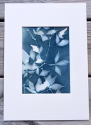 Camilla Fredriksson, Originalprint nr.19, 29,7x21cm