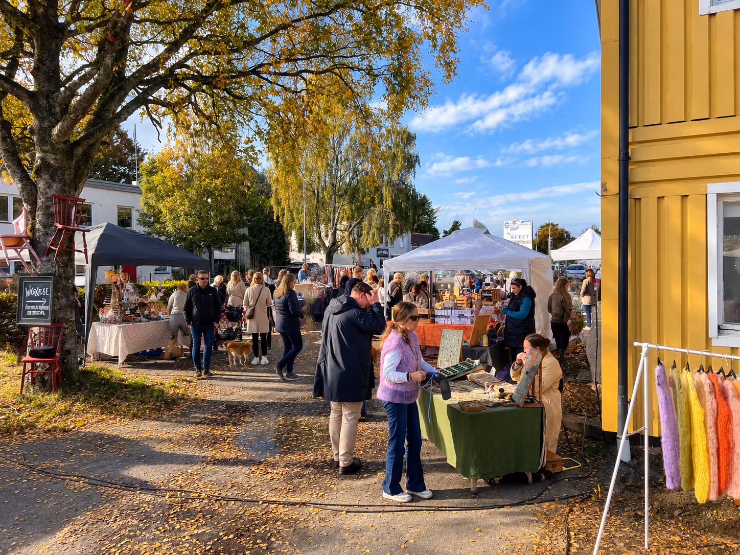 Wacky Makers Market, Lördag 3 oktober 2026