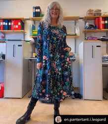 Embroidery Groove Dress