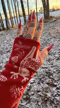 Handledsvärmare Merinoull Nordiska djur