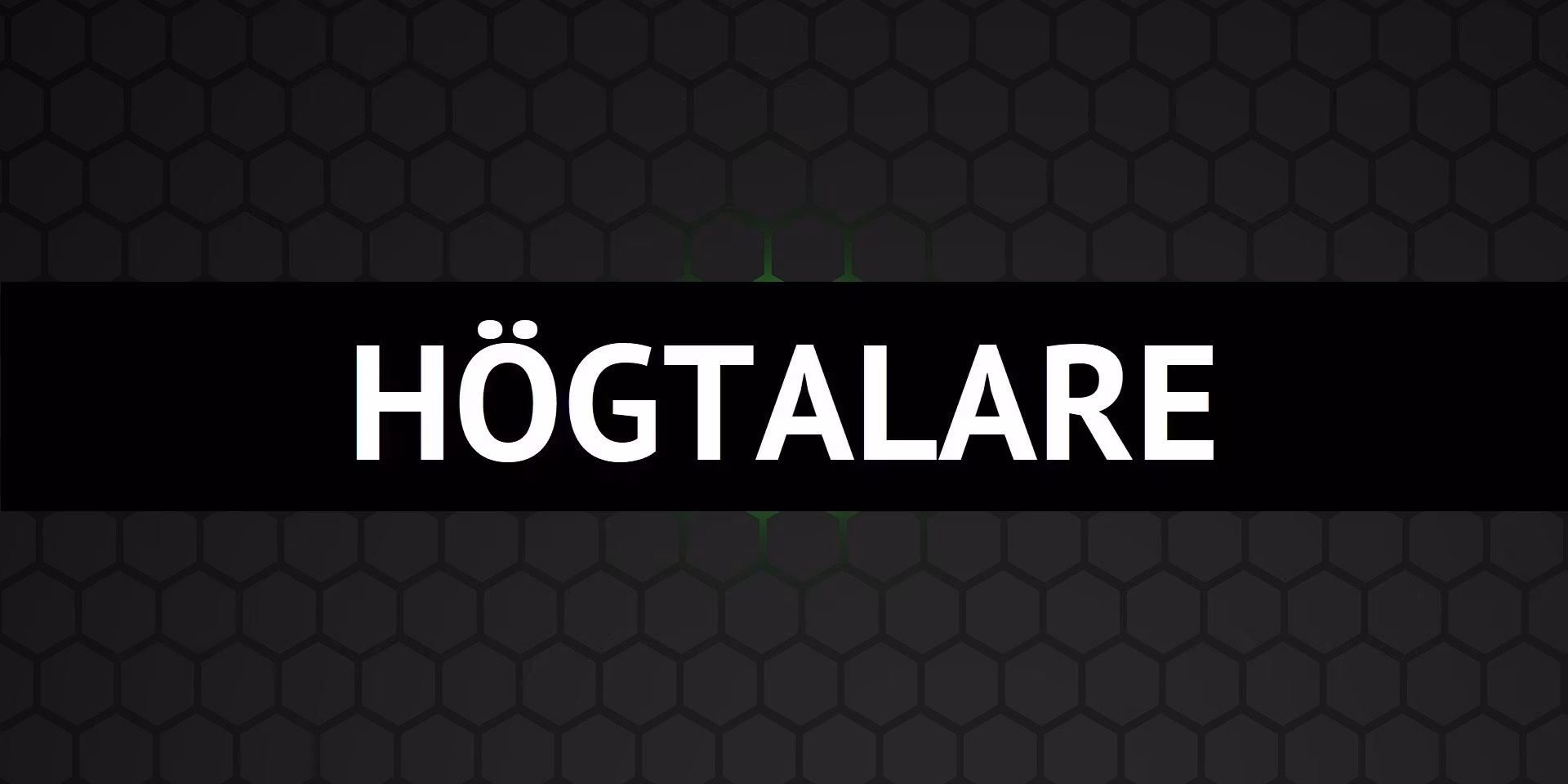 HÖGTALARE - dBakuten Sandviken