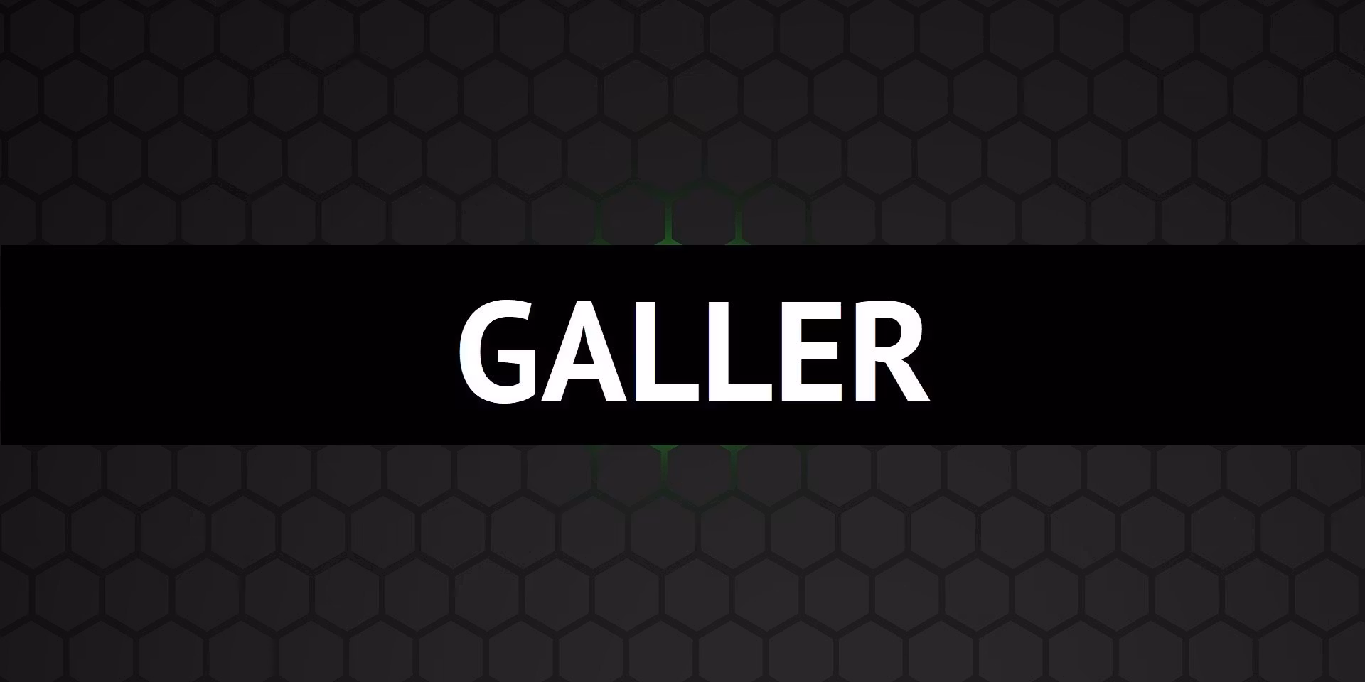 GALLER - dBakuten Sandviken
