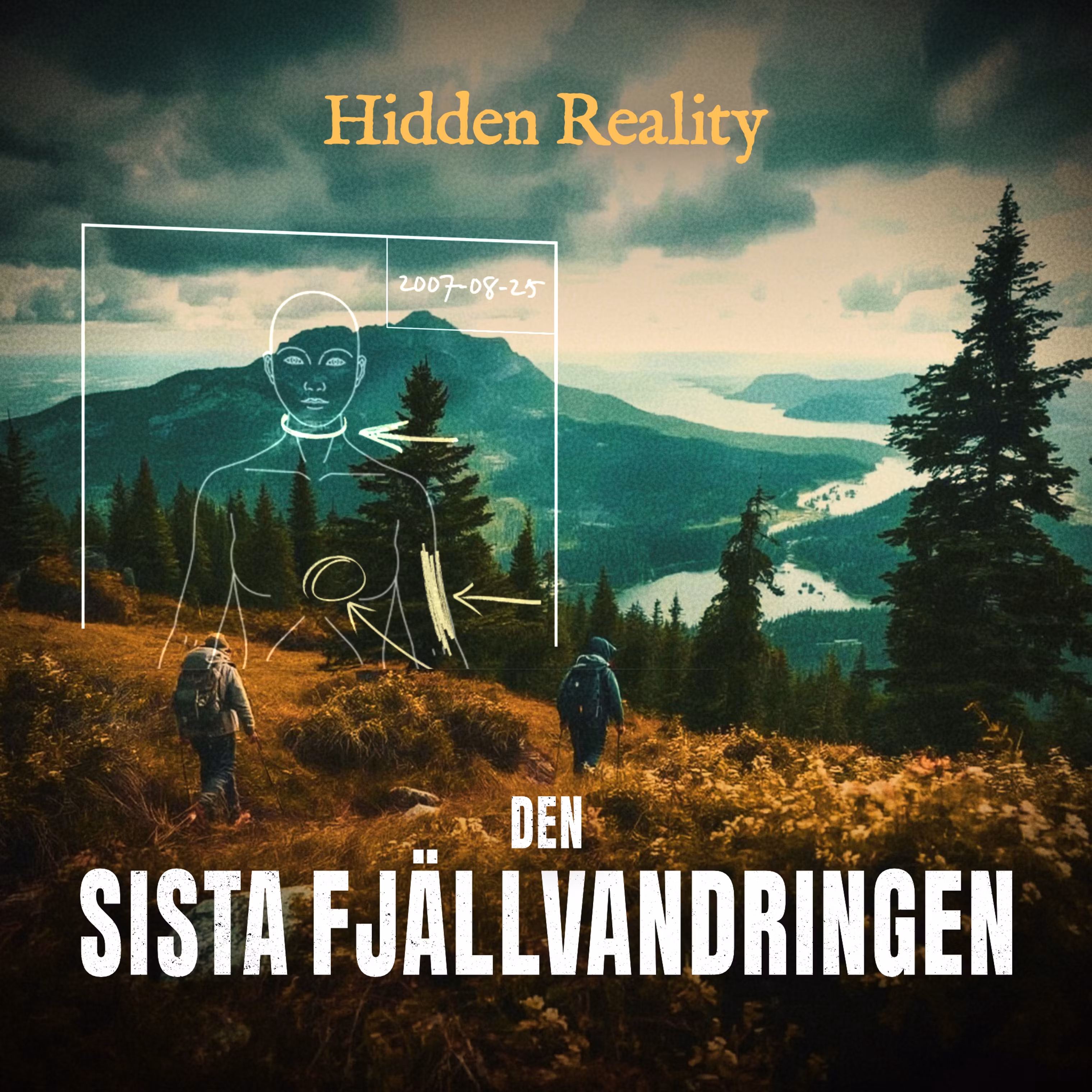 Omslag: Den sista fjällvandringen