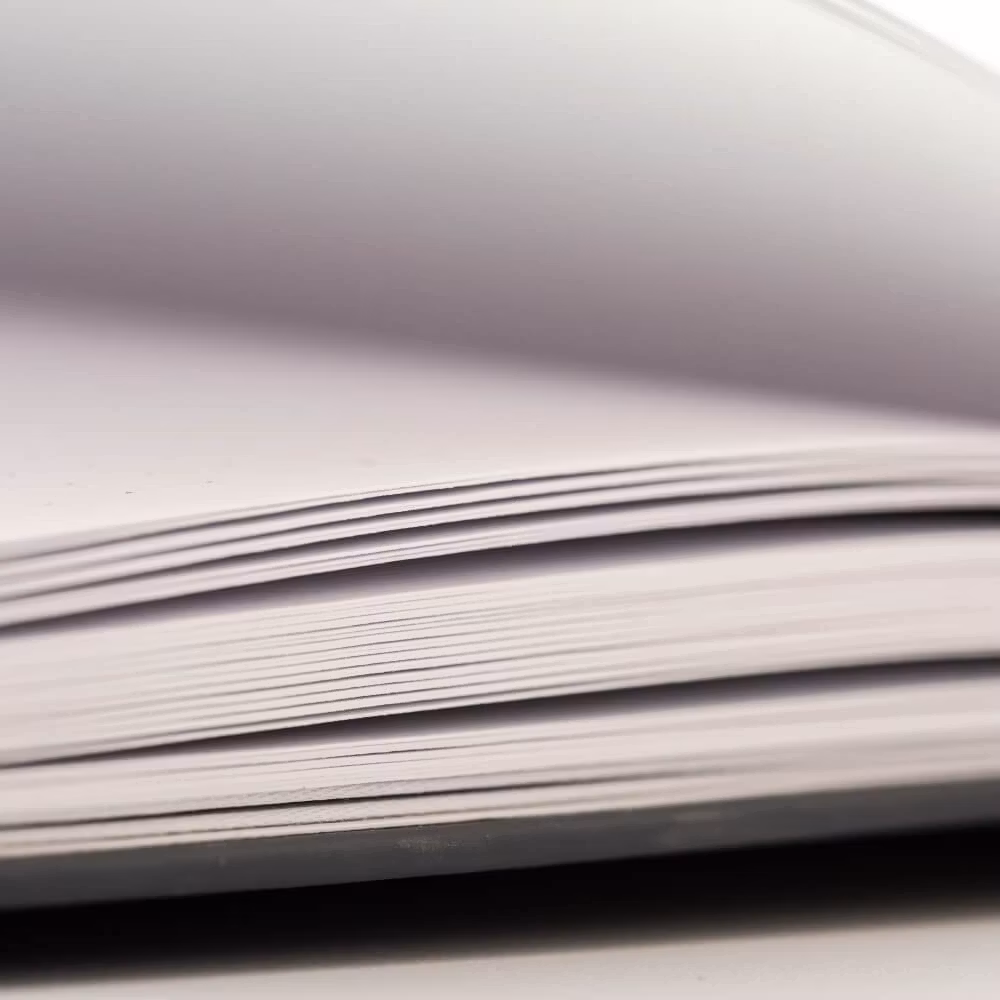 Yop & Tom Dot Grid Journal Dandelion Sage Green