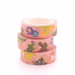 Washi Tape Shoal - Succulents and Cacti