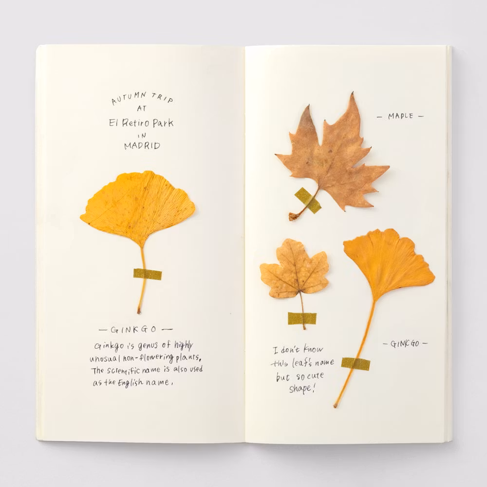 025. MD Paper Cream Blank Notebook Refill - Regular Size // Traveler's Notebook
