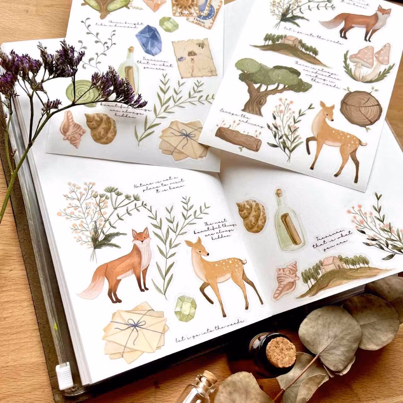Rub-on-stickers Nikki Dotti - Treasures