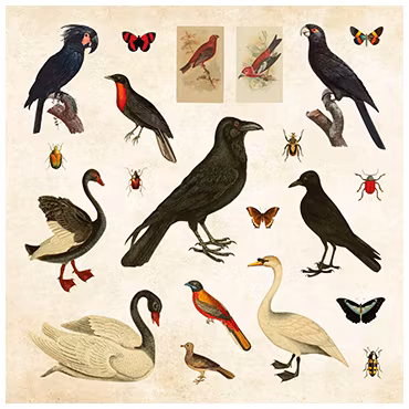 Stickersbok Mystical Ephemera! (900 stickers)
