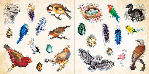 Sticker Book Loads of Ephemera! (580 stickers)