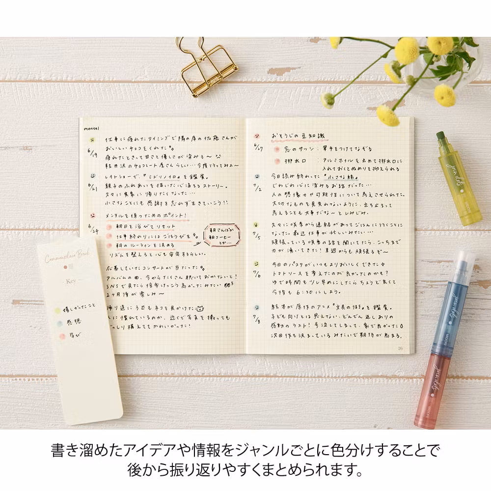 Midori Connecting Pen Join Dots - Dusty