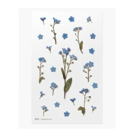 PET Stickers World Craft - Forget Me Not
