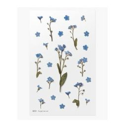 PET Stickers World Craft - Forget Me Not