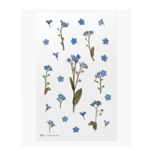 PET Stickers World Craft - Forget Me Not