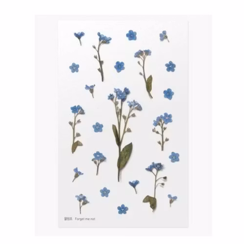 PET Stickers World Craft - Forget Me Not