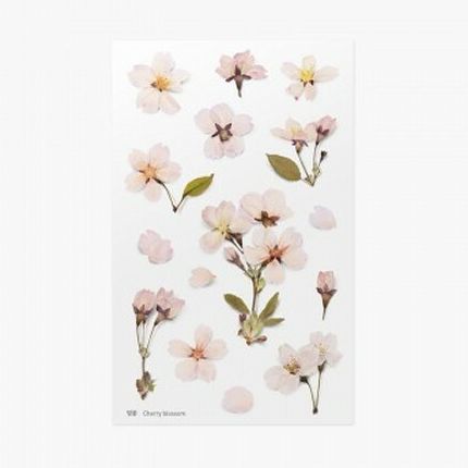 PET Stickers World Craft - Cherry Blossom