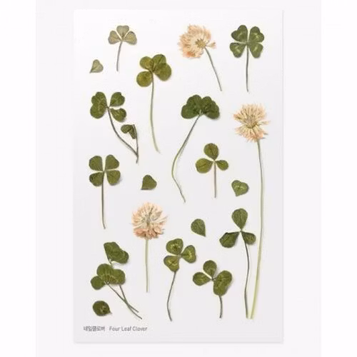 PET Stickers World Craft - Four Leaf Clover