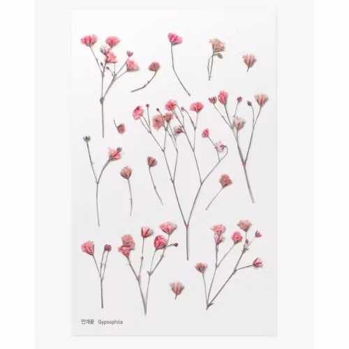 PET Stickers World Craft - Gypsophila