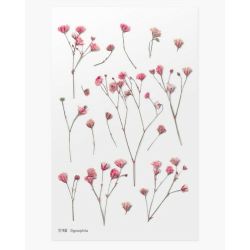 PET Stickers World Craft - Gypsophila