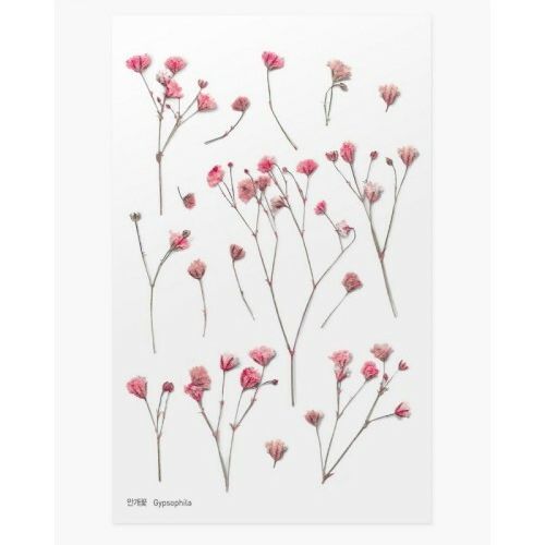 PET Stickers World Craft - Gypsophila