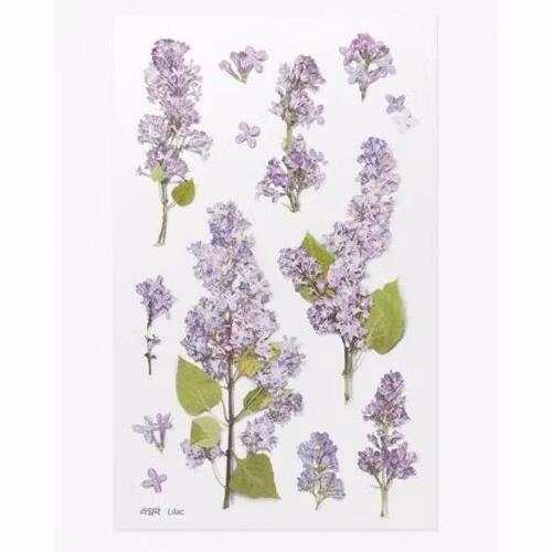 PET Stickers World Craft - Lilac