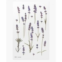 PET Stickers World Craft - Lavender