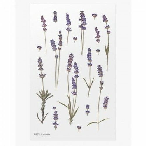 PET Stickers World Craft - Lavender
