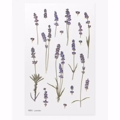 PET Stickers World Craft - Lavender