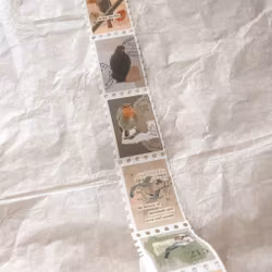 Washi Tape Sames Journal - Birds Autumn Stamp 25 mm