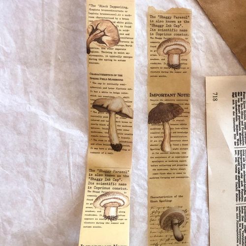 Vellum Tape Sames Journal - Autumn Mushroom 30 mm