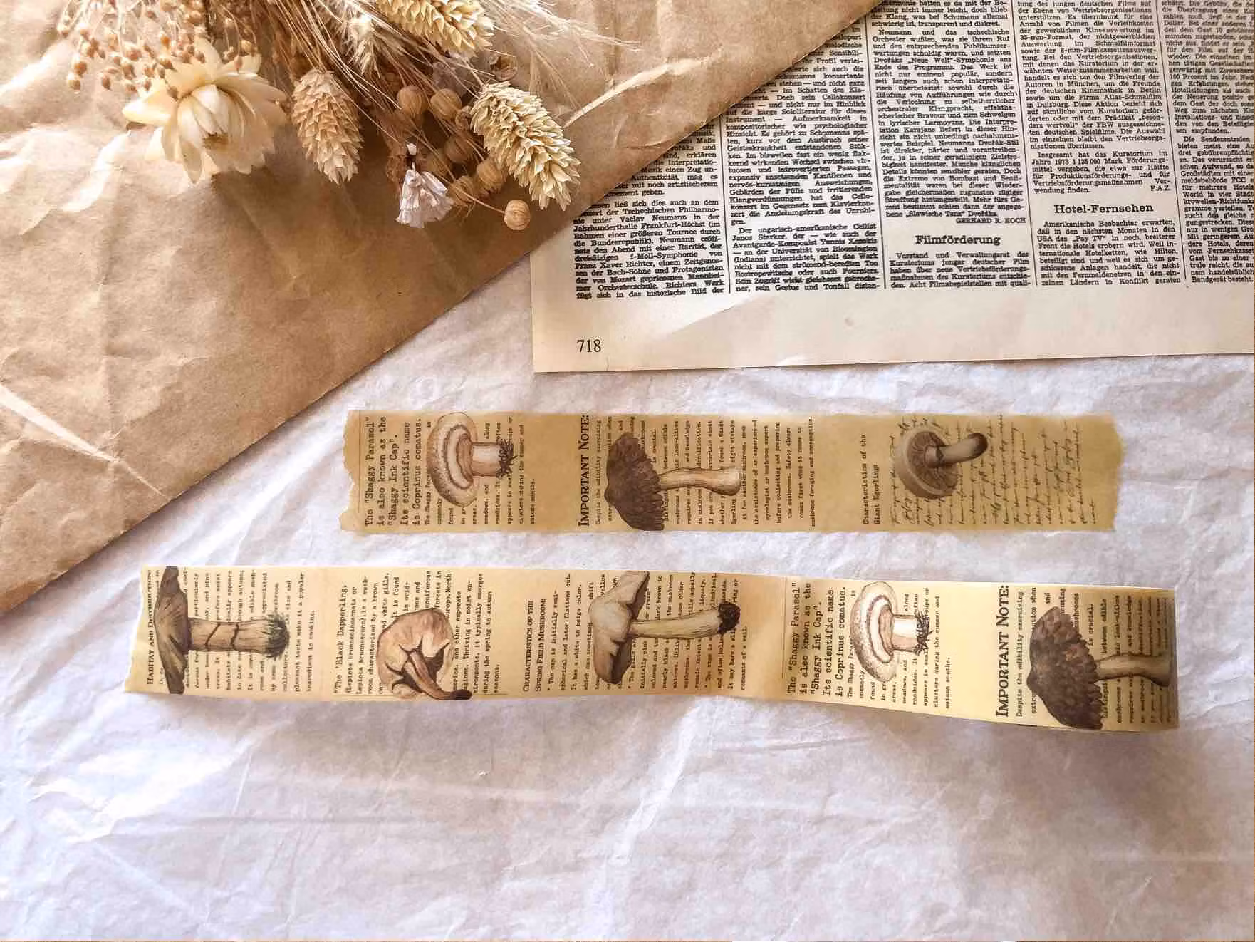 Vellum Tape Sames Journal - Autumn Mushroom 30 mm