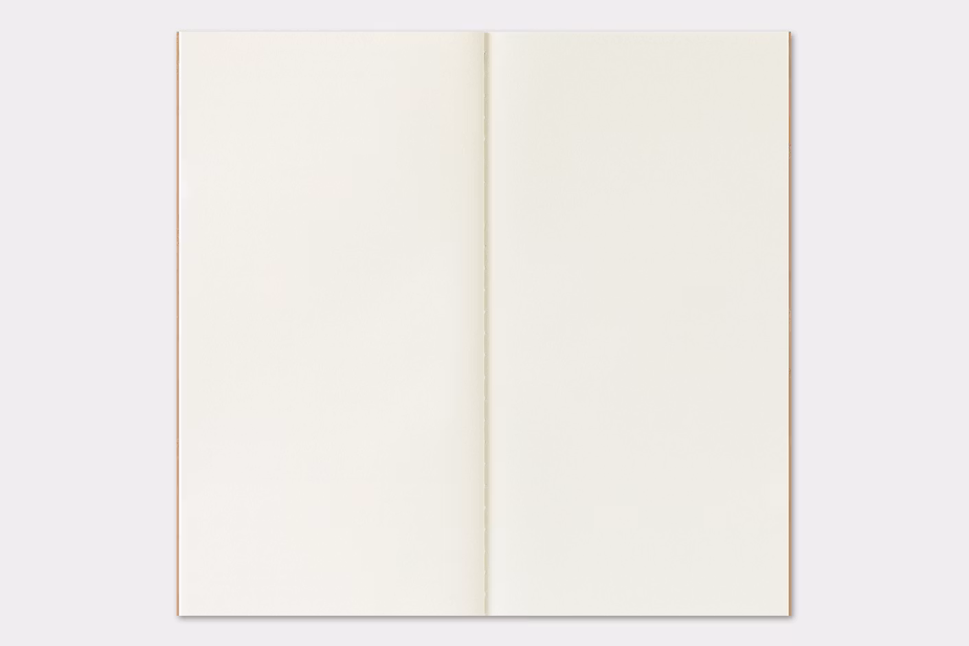 2026 Diary Refill (Monthly) - Regular Size // Traveler's Notebook