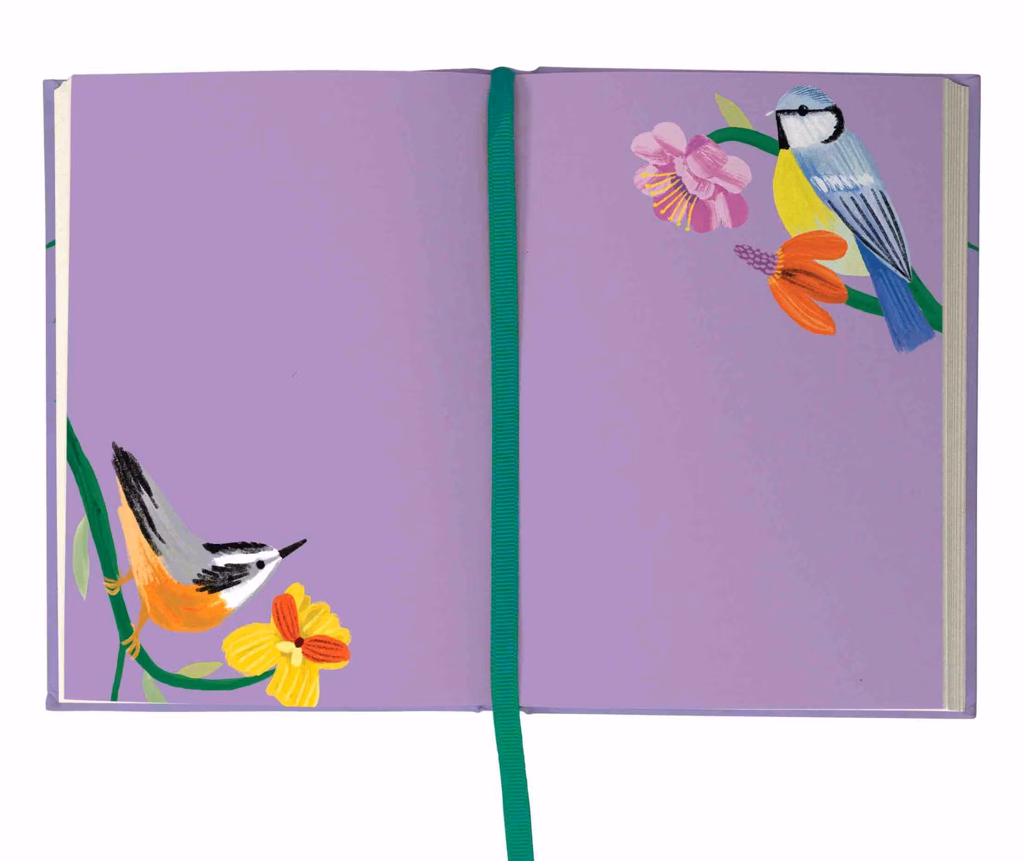 Roger la Borde Illustrated Journal - Birdhaven