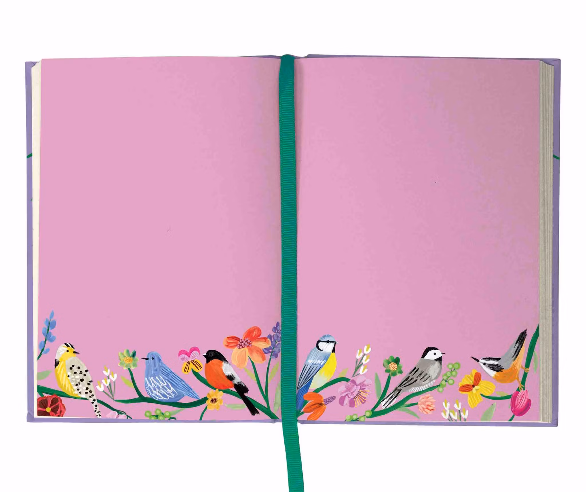 Roger la Borde Illustrated Journal - Birdhaven