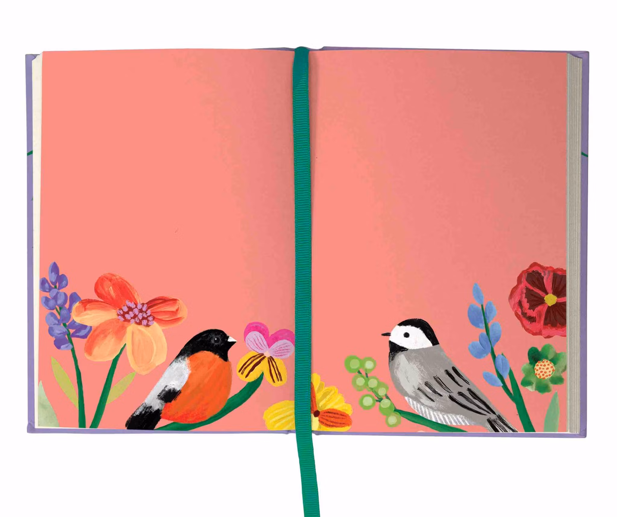 Roger la Borde Illustrated Journal - Birdhaven