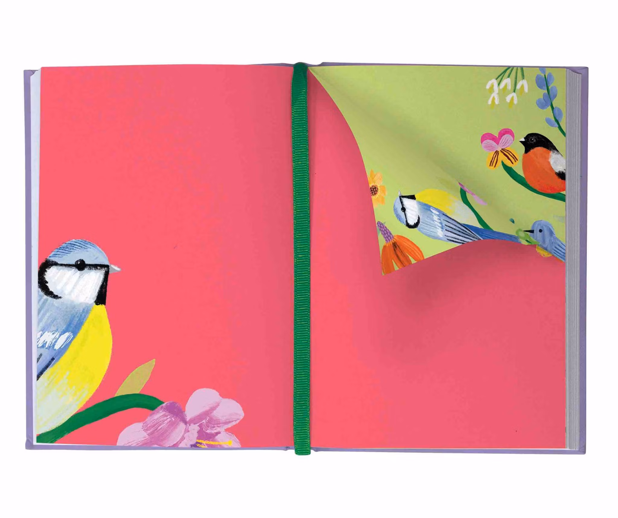 Roger la Borde Illustrated Journal - Birdhaven