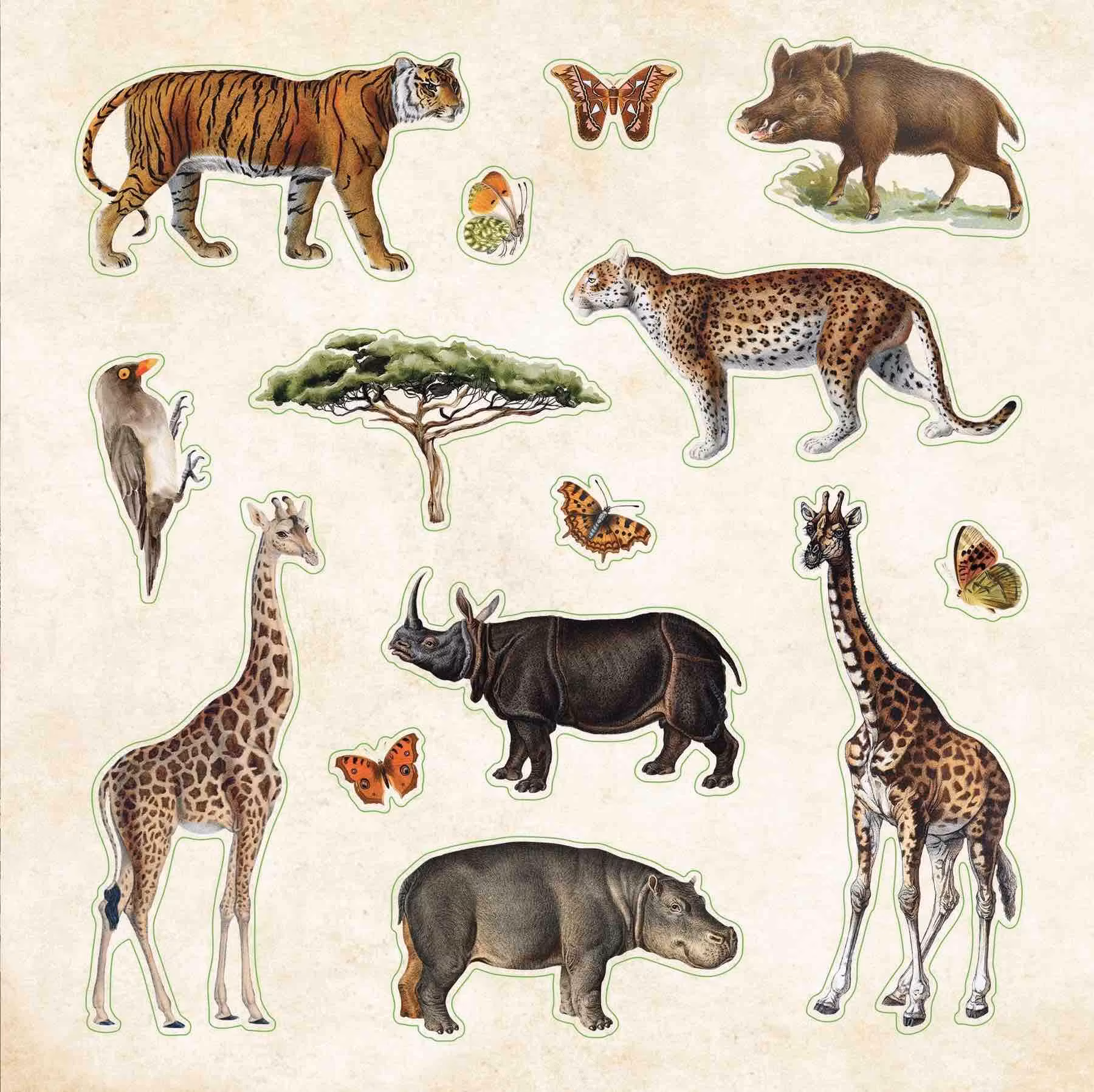 Stickersbok Zoological Ephemera (680 stickers)