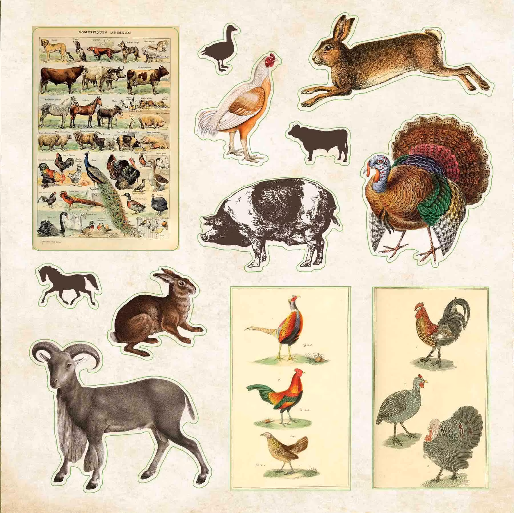 Stickersbok Zoological Ephemera (680 stickers)