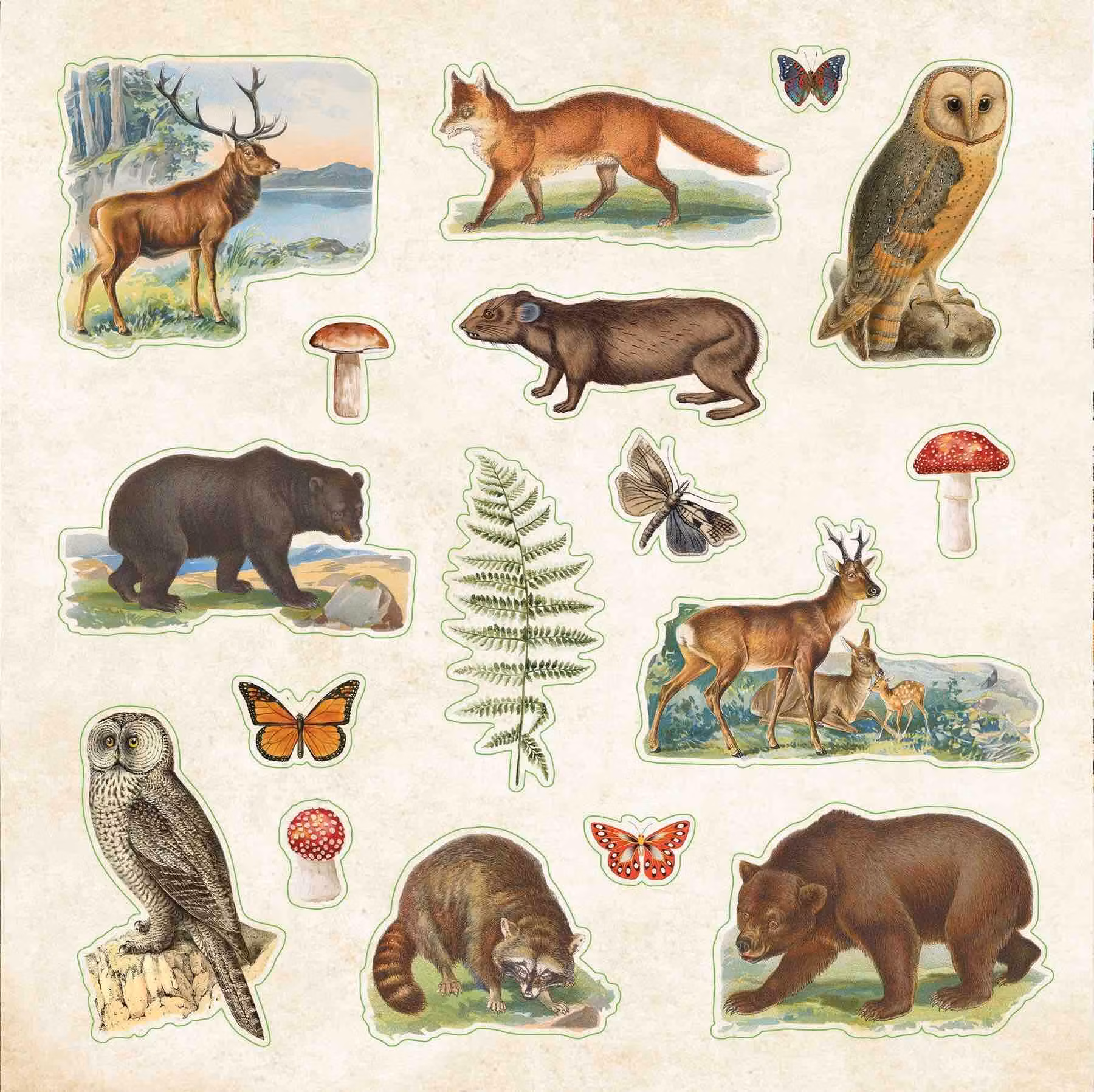 Stickersbok Zoological Ephemera (680 stickers)
