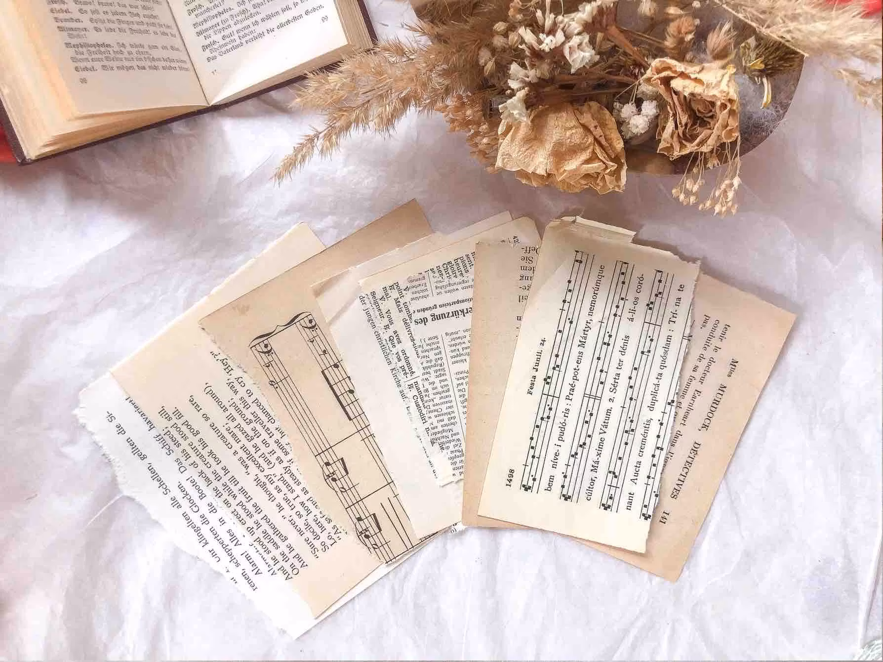 Stickers Sames Journal - Vintage Book Pages