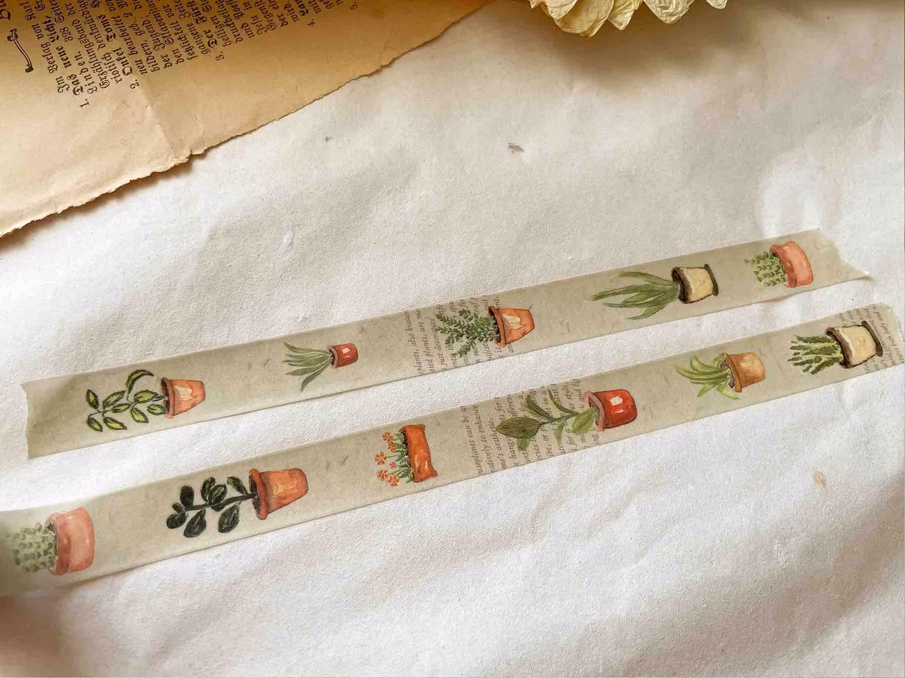 Washi Tape Sames Journal - Vintage Plants 15 mm