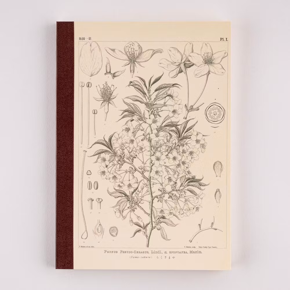 Tomitaro Makino: Hobonichi Grid Notebook (A5) - Yamazakura