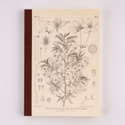 Tomitaro Makino: Hobonichi Grid Notebook (A5) - Yamazakura