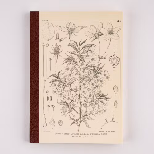 Tomitaro Makino: Hobonichi Grid Notebook (A5) - Yamazakura