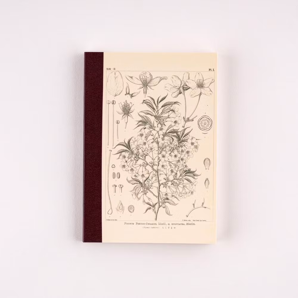 Tomitaro Makino: Hobonichi Grid Notebook - Yamazakura (A6)