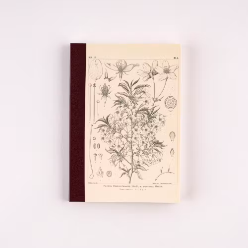 Tomitaro Makino: Hobonichi Grid Notebook - Yamazakura (A6)