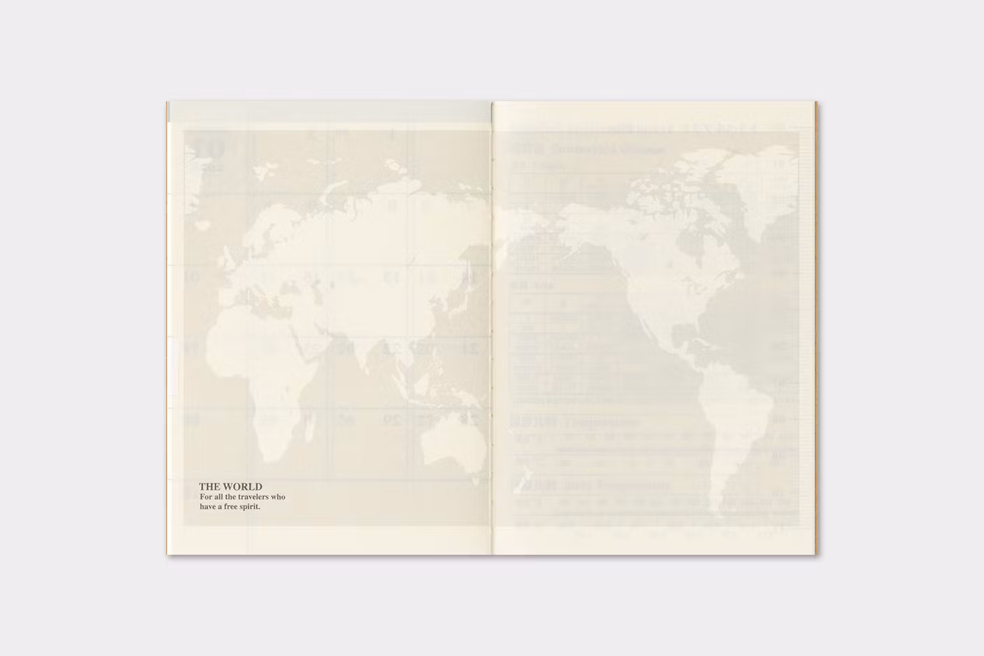 2027 Diary Refill (Monthly) - Passport Size // Traveler's Notebook
