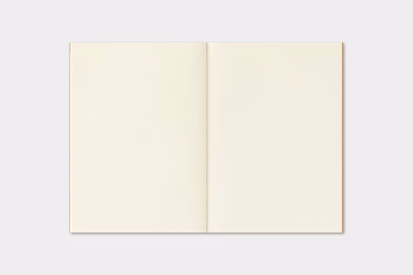 2027 Diary Refill (Monthly) - Passport Size // Traveler's Notebook
